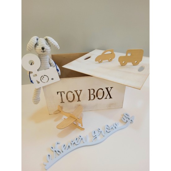 TOY BOX