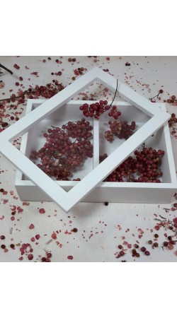 Μεγάλο δίχωρο παρ/μο με διάφανο plexiglass